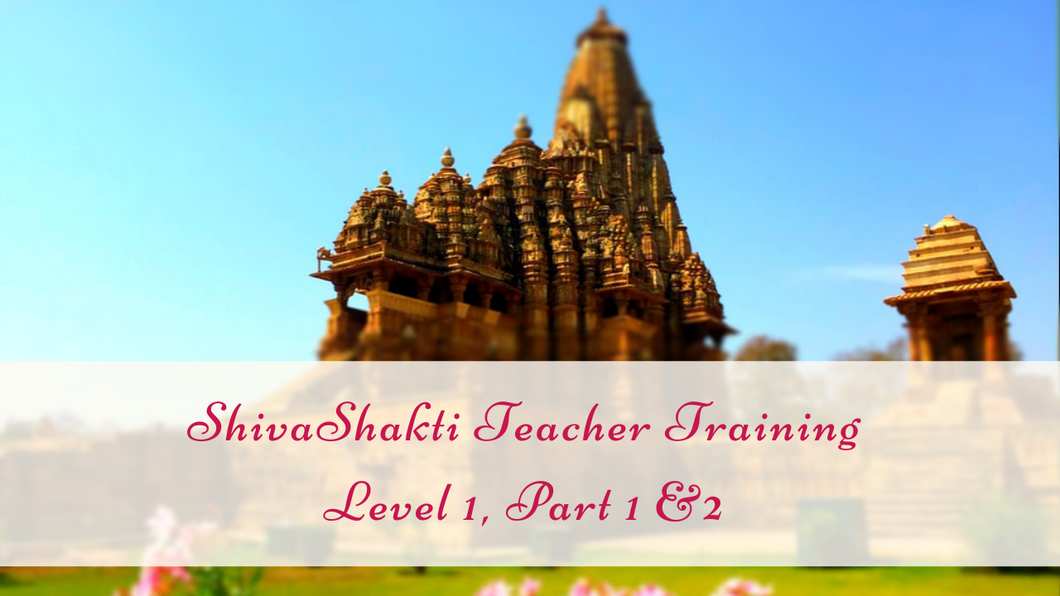 シヴァシャクティ・ティーチャートレーニング　Level 1, Part 1&2